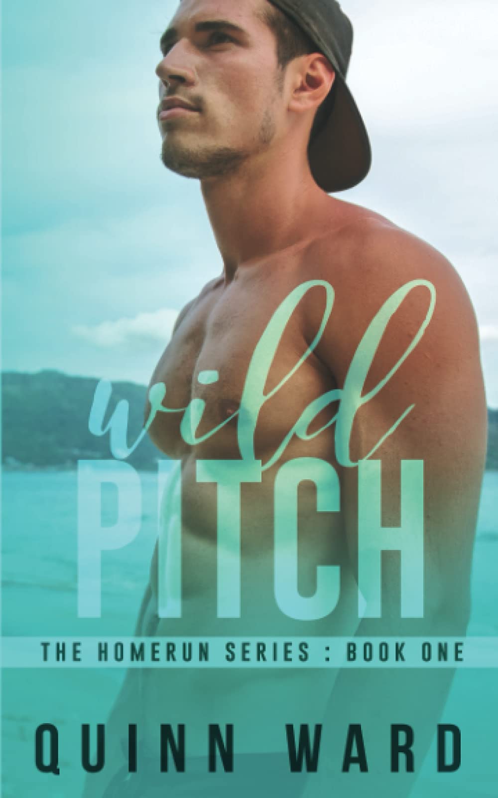 Wild Pitch: A Friends to Lovers Gay Sports Romance Novel (Homeruns Series) - Perfect for LGBTQ+ Readers & Baseball Fans