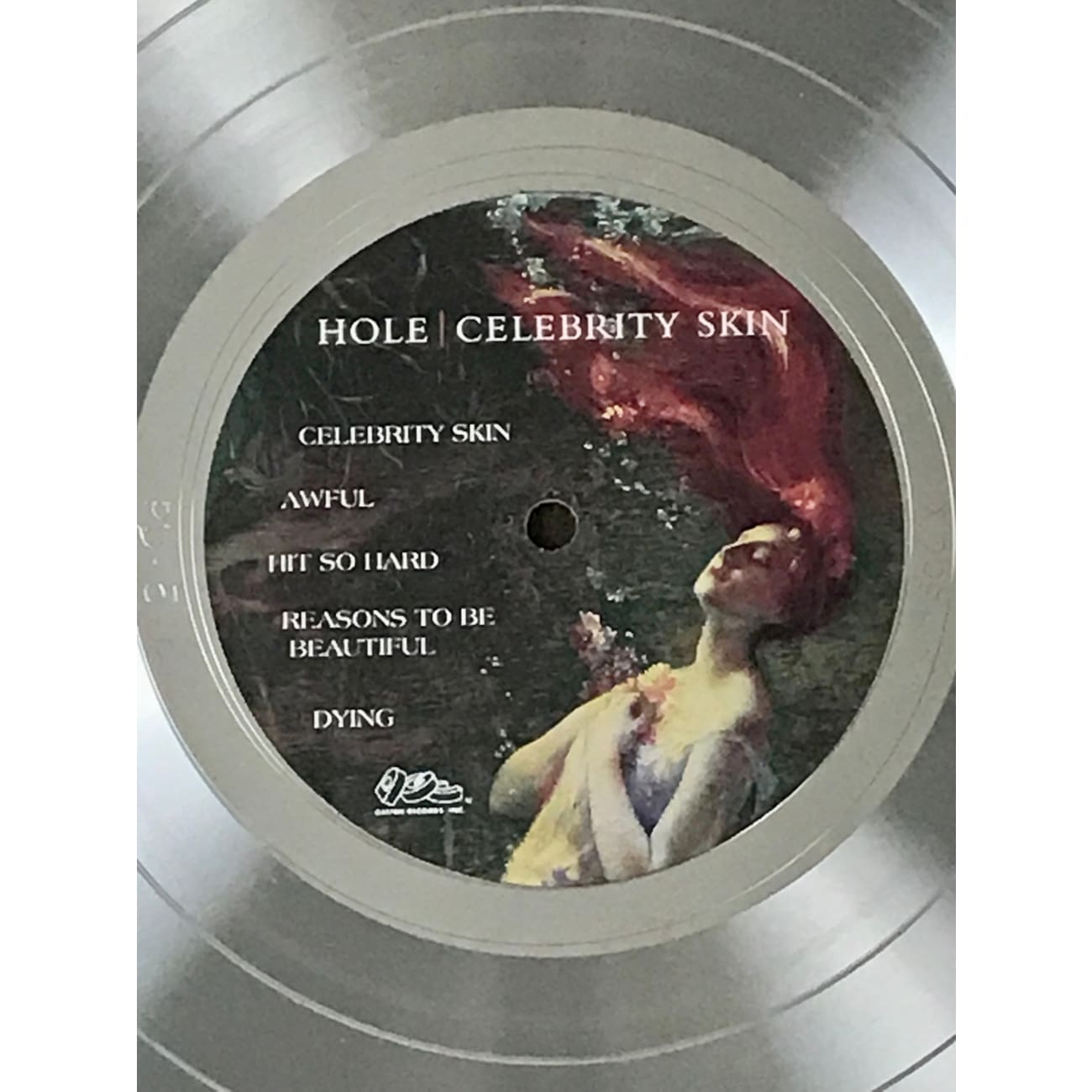 Hole Celebrity Skin RIAA Platinum Album Award - Official Music Record & Collectible for Fans, Home Decor, and Music Memorabilia Displays