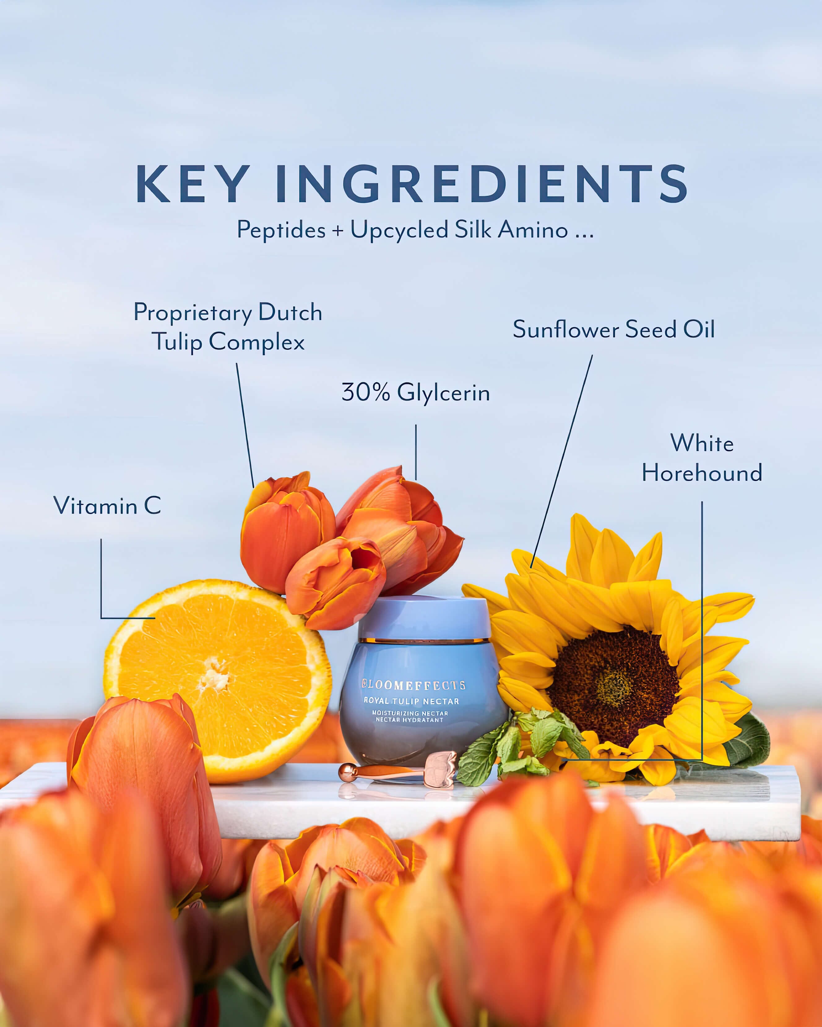 Royal Tulip Nectar - Premium Organic Honey for Tea, Baking & Healthy Breakfast | Natural Sweetener for Coffee, Yogurt & Smoothies