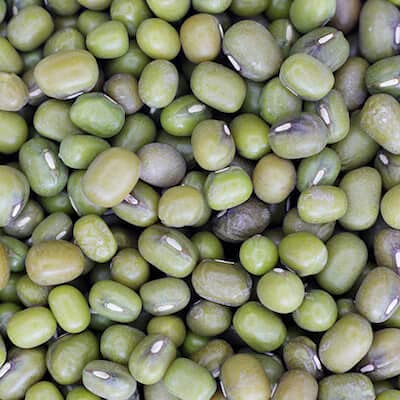 Organic Mung Beans 25kg Bulk - Premium Dried Green Mung Beans for Cooking, Sprouting & Vegan Recipes - Non-GMO, Additive-Free Whole Mung Beans for Home, Restaurant & Wholesale Use