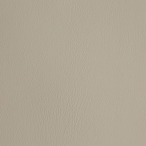 Light Parchment