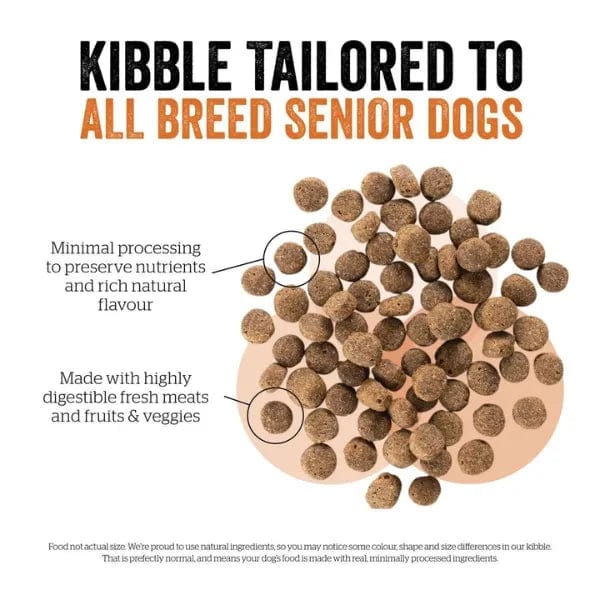 Now Fresh Turkey, Salmon & Duck Recipe Senior Dry Dog Food - 22lb Bag | Grain-Free High Protein Kibble for Older Dogs | Supports Joint Health & Digestion | Perfect for Senior Dogs with Sensitive Stomachs