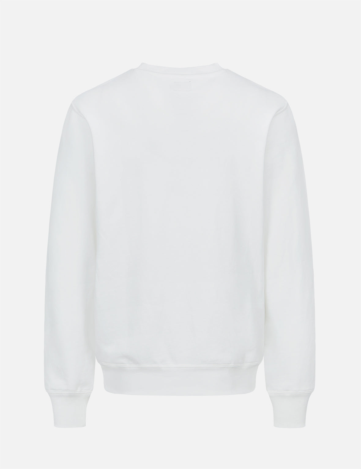 Stylish Seagull Print Sweatshirt for Women & Men - Comfortable Casual Pullover with Ocean Bird Design - Perfect for Beach Outings, Vacation Wear & Everyday Fashion