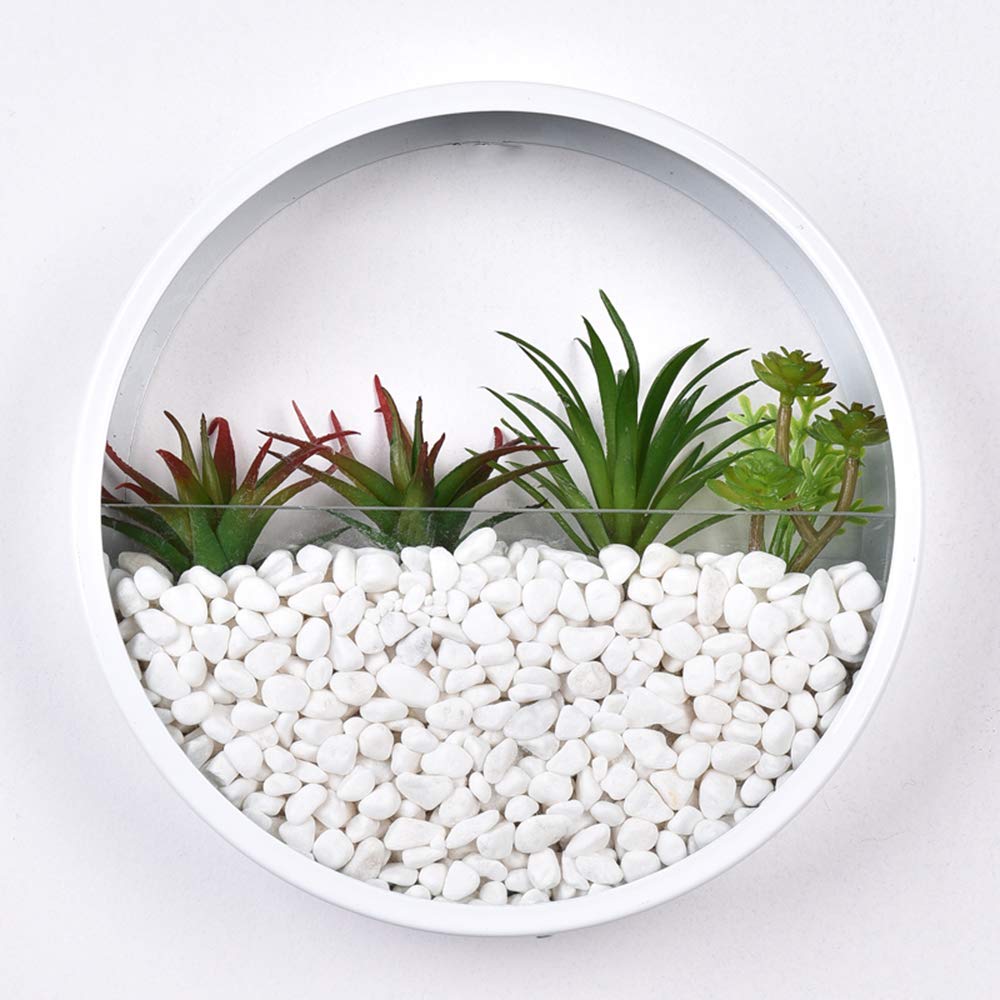 Ecosides 8