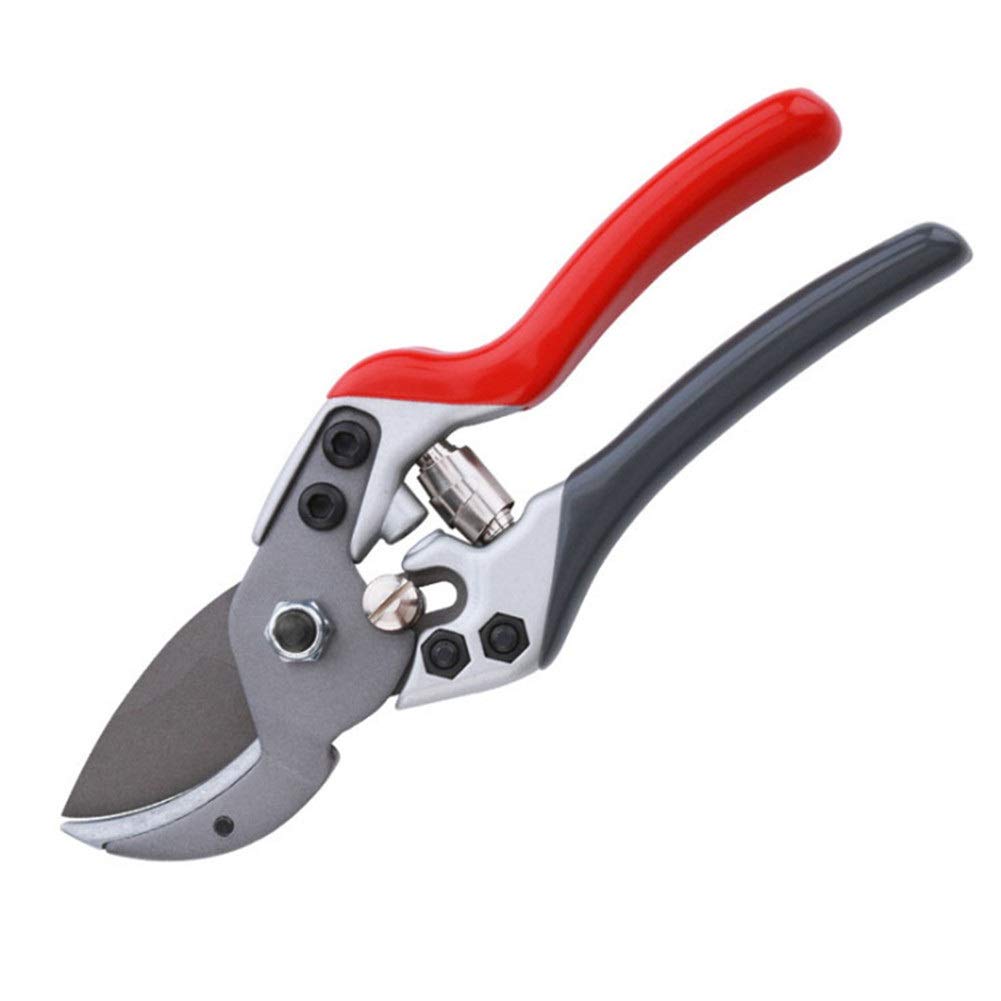 Premium Gardening Pruning Shears for Effortless Cutting - Heavy Duty Floral & Fruit Tree Branch Cutter - Perfect for Garden Trimming, Landscaping, and DIY Plant Care