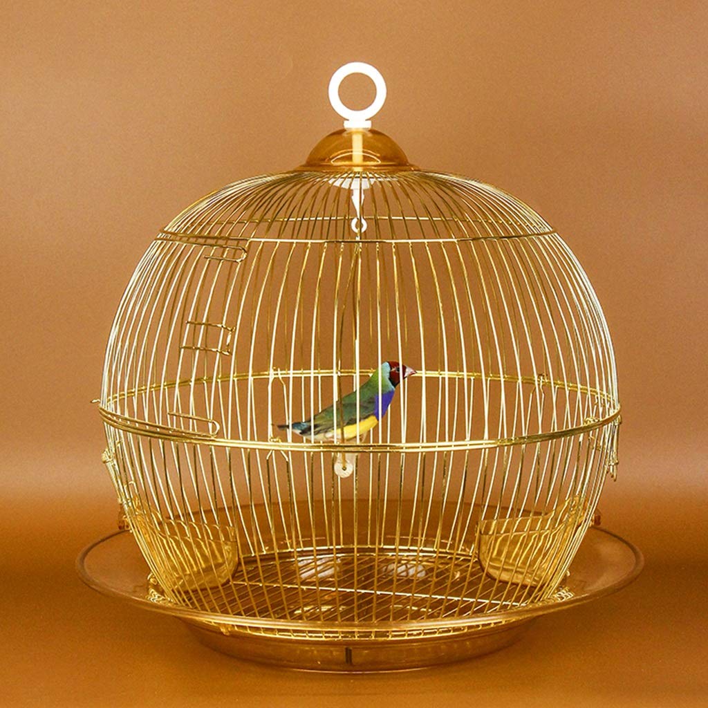Retro Golden Flight Cage for Parakeets - Decorative Bird Cage for Parrots, Doves & Canaries | Elegant Home Decor & Luxury Package (Gold) - Perfect for Living Room, Bedroom or Garden Aviary