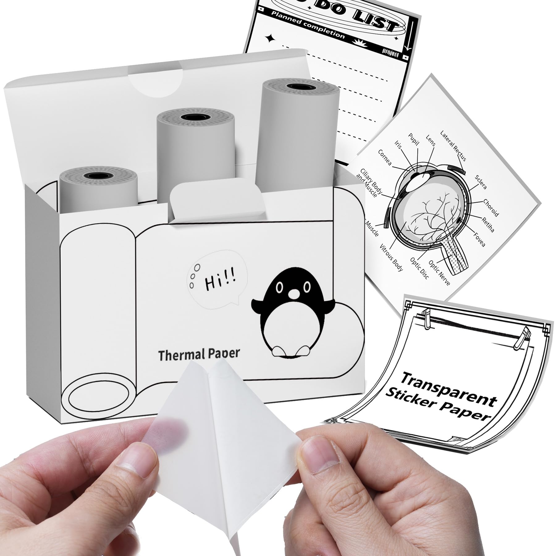 T02 Clear Adhesive Thermal Sticker Paper - 50mm x 3.5m (3 Rolls) - Compatible with T02/M02X/M02L Mini Thermal Printers - Perfect for Shipping Labels, Price Tags, Barcode Stickers & Office Notes - Ideal for Retail, Warehouse & Small Business Organization