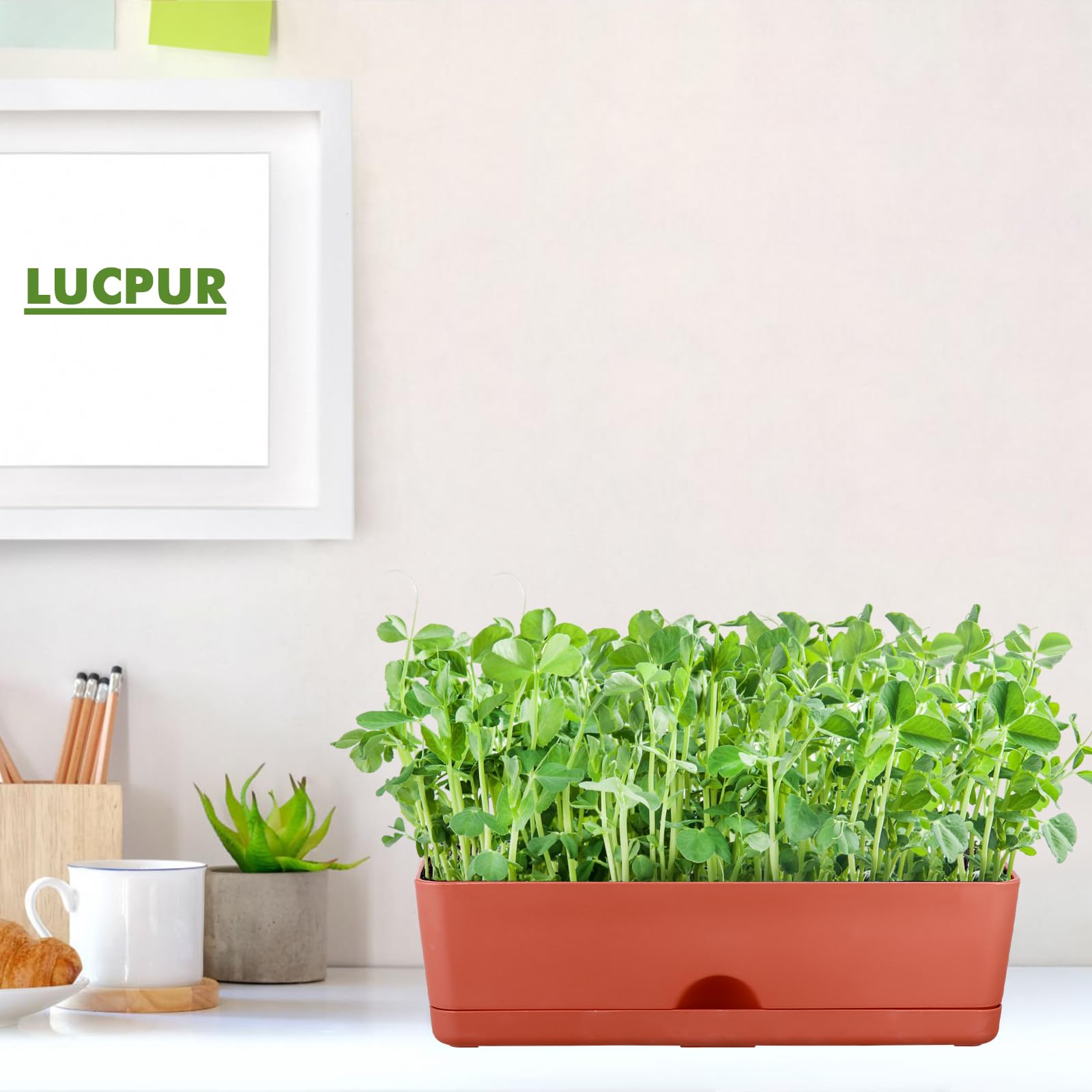 6-Pack 16 Inch Large Rectangle Plastic Window Box Planters for Herbs, Vegetables, Flowers - Indoor & Outdoor Use, Perfect for Windowsill, Balcony, Garden, and Patio Decor