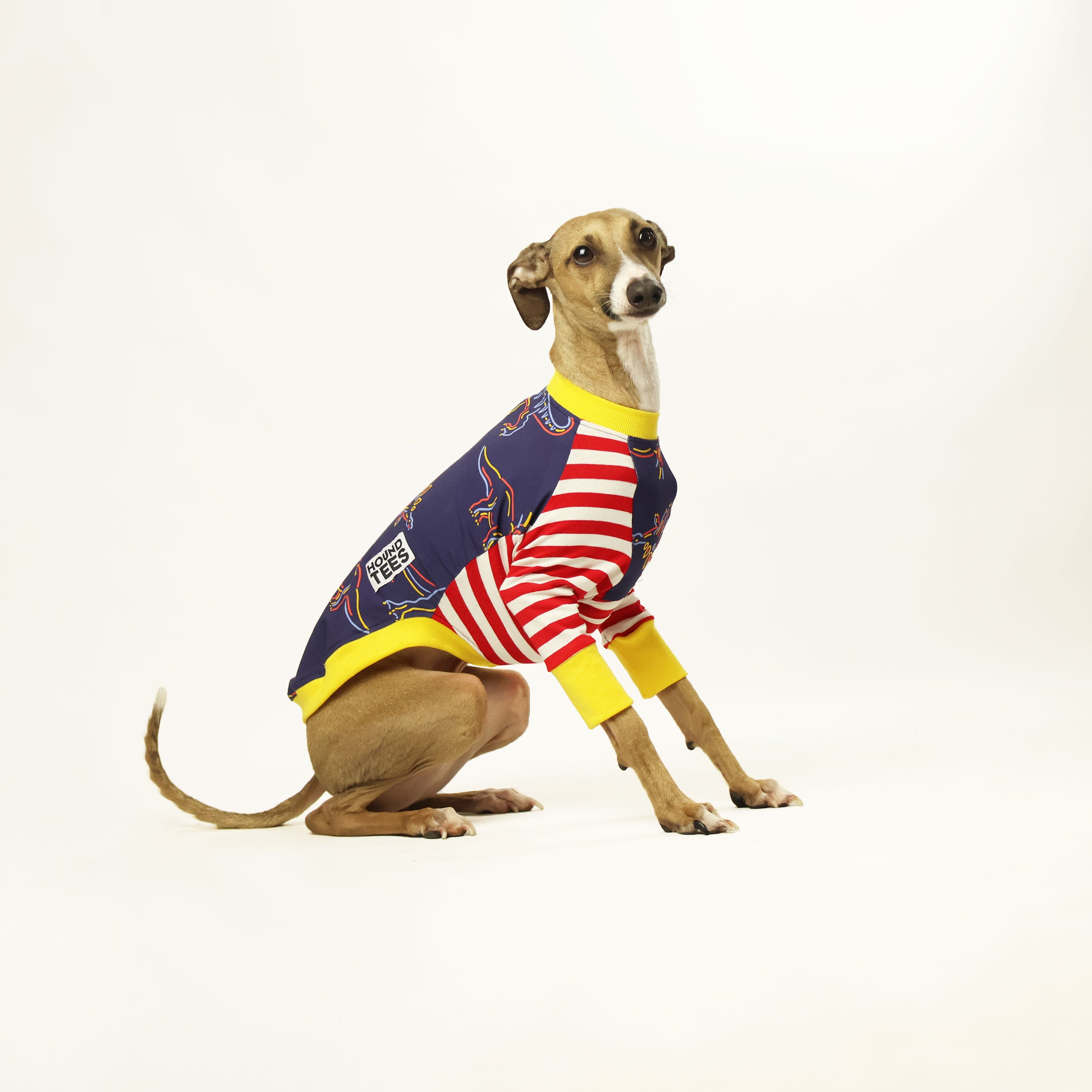 Rawr Iggy Long Sleeve Hound Graphic Tee - Trendy Dog Lover T-Shirt for Men & Women - Perfect for Casual Wear, Pet Owner Gifts & Animal Theme Outfits