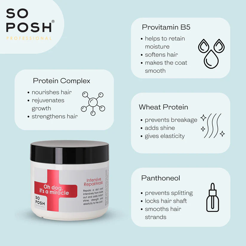 So Posh Oh Dog Miracle Intensive Repair Hair Mask - Deep Conditioning Treatment for Damaged Hair - Perfect for Salon-Quality Results at Home