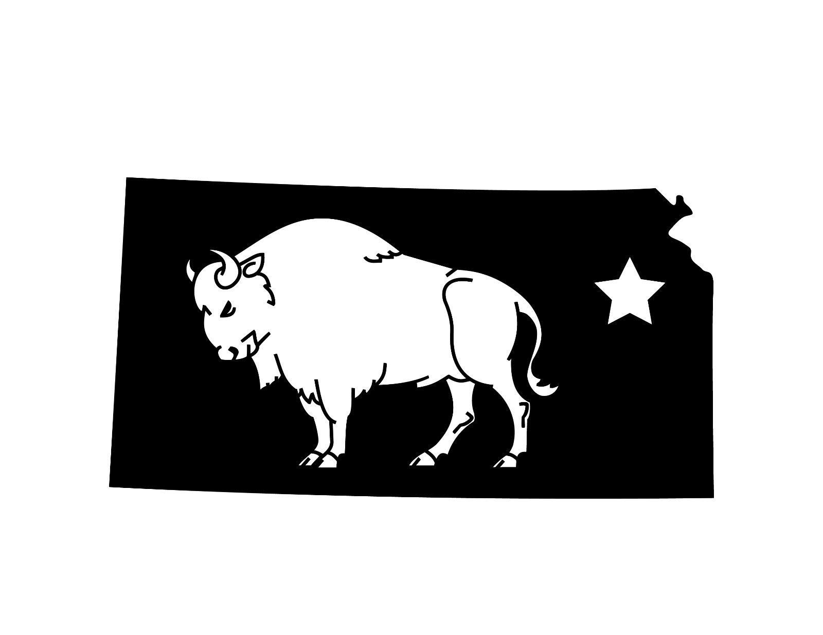 Kansas Buffalo Double-Sided Stainless Steel Keychain - Durable Key Ring Holder with Car Key Finder - Perfect for Key Organization and Easy Retrieval at Home, Office or Travel