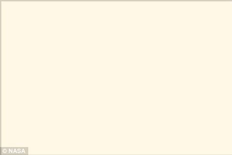 Beige Solid