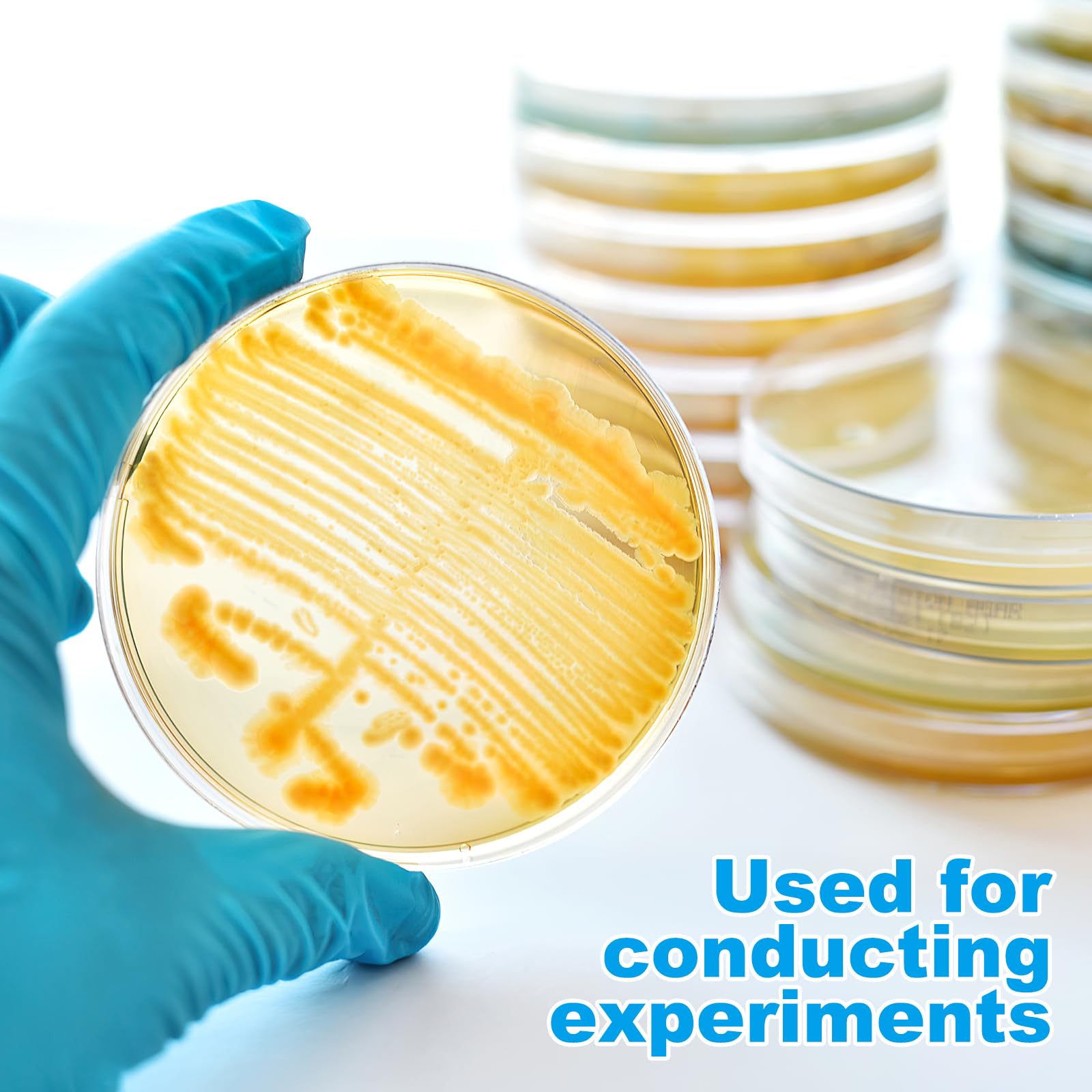 10pcs Nutrient Agar Plates - Pre-Poured Petri Dishes for Science Experiments, Tissue Culture & Lab Use | Ideal for Science Fair Projects, Microbiology Studies & Classroom Labs