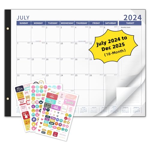Blue(July.2024 - Dec.2025)