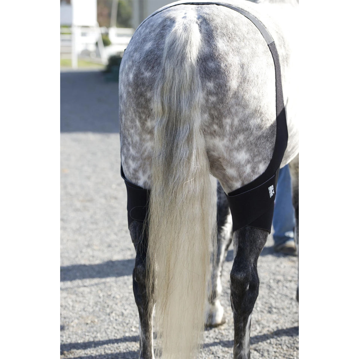Ice Horse Stifle Wrap for Horses - Support & Protection for Joint Injuries, Arthritis & Recovery - Perfect for Training, Riding & Post-Surgery Care