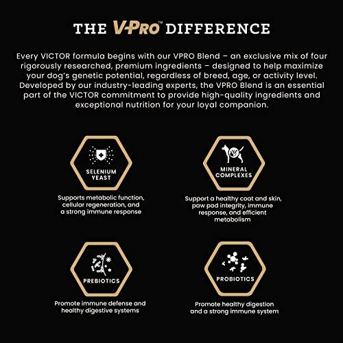 VICTOR Super Premium High Protein Dry Dog Food - Grain Free, Gluten Free Large Breed & Puppy Formula - 25% Protein for Muscle Development - 50lb Bag for Active Dogs & Growing Puppies - Perfect for Training, Weight Management & Daily Nutrition