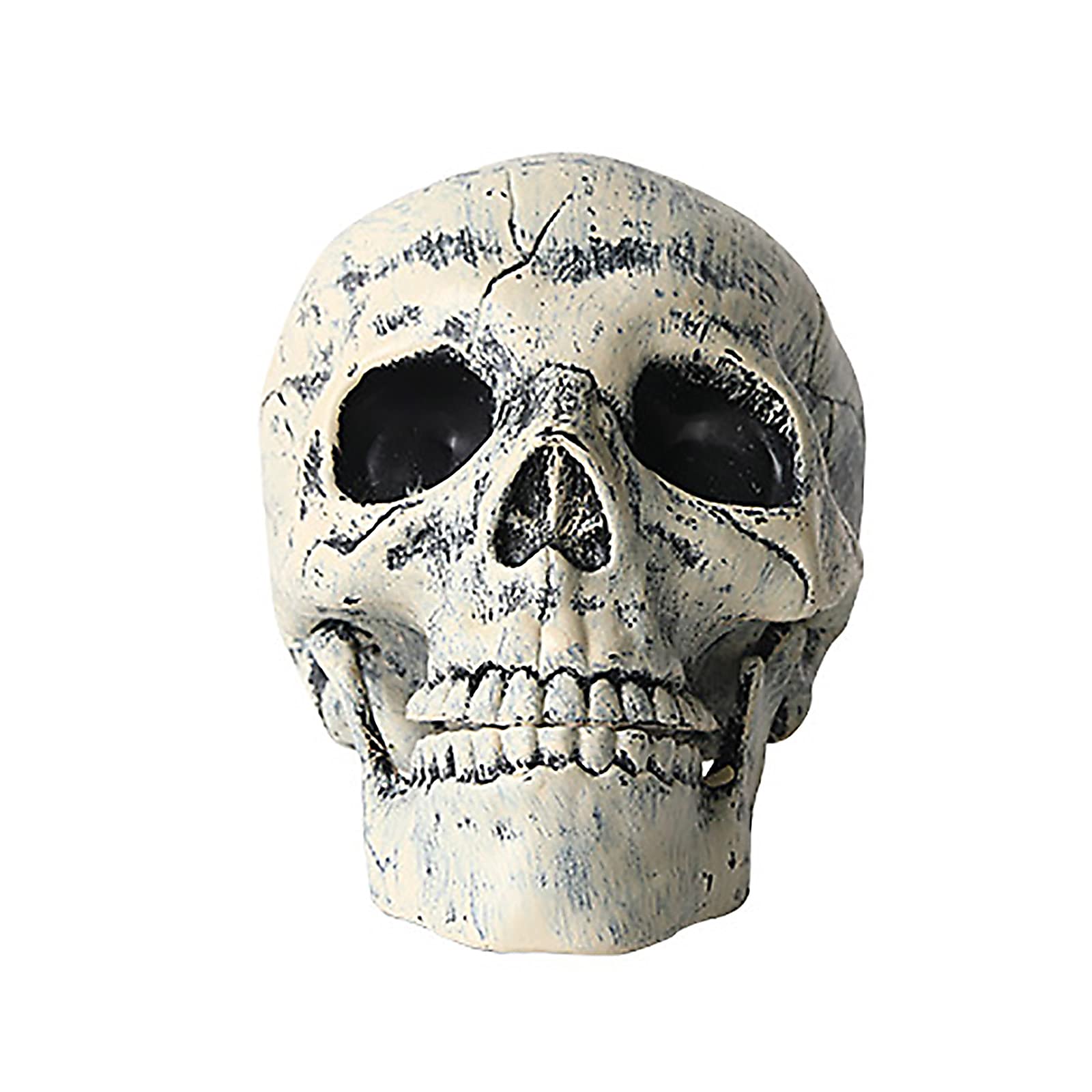 Realistic Skull Skeleton Stakes - Halloween Yard Decorations for Garden, Lawn & Outdoor Scenes | Spooky Ground Breaker Props for Halloween Party, Haunted House & Graveyard Themes