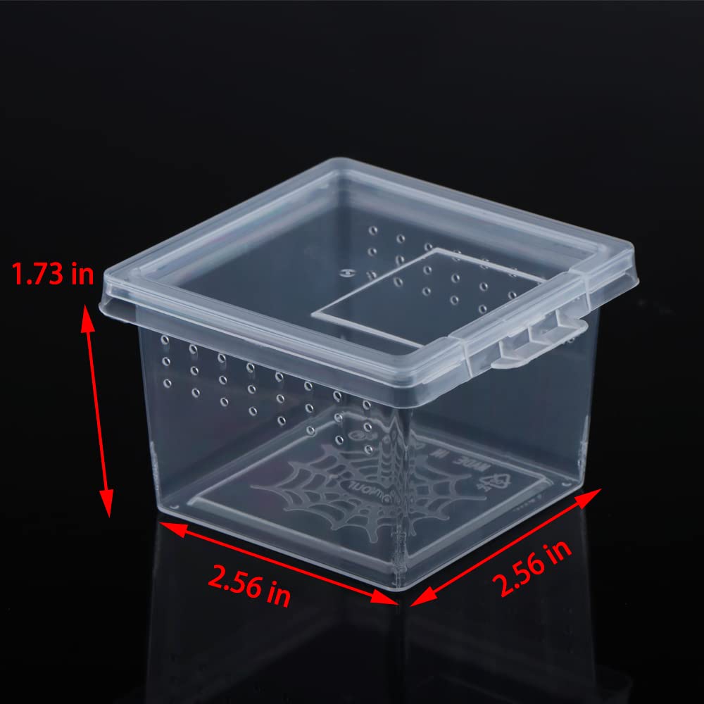 10 Pcs Clear Acrylic Insect Spider Terrarium - Small Reptile Scorpion Centipede Breeding Box for Hatching & Observation | Perfect for Pet Enclosures, Science Projects & Home Decor