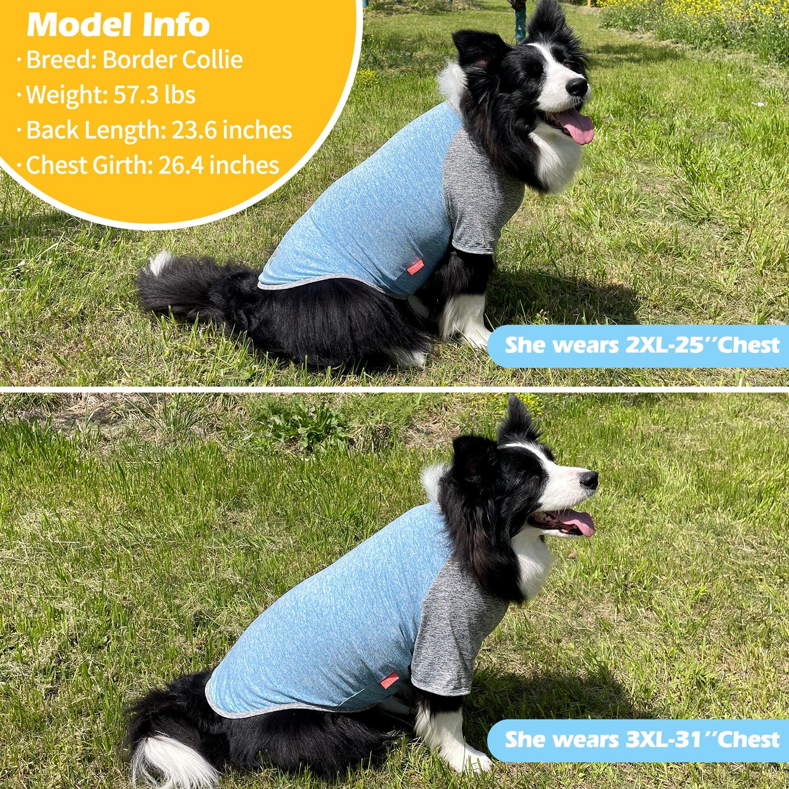 KYEESE 2 Pack Quick Dry Breathable Stretchy Dog T-Shirts with Reflective Label & Raglan Sleeves - Large Dog Clothes for Walking, Running & Outdoor Activities (Blue+Grey, 3XL)