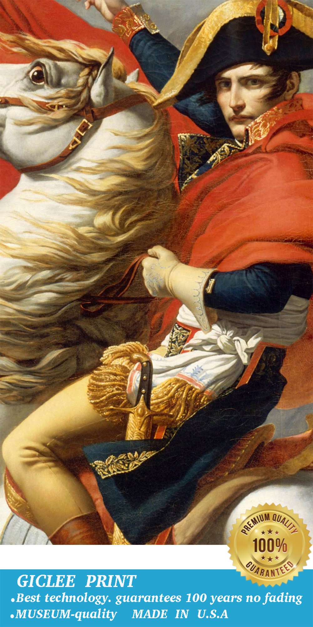 ELITEART Napoleon Crossing the Alps by Jacques-Louis David - Premium Giclee Oil Painting Reproduction on Canvas - Framed Wall Art 22x26 Inches - Perfect for Living Room, Office & Home Decor