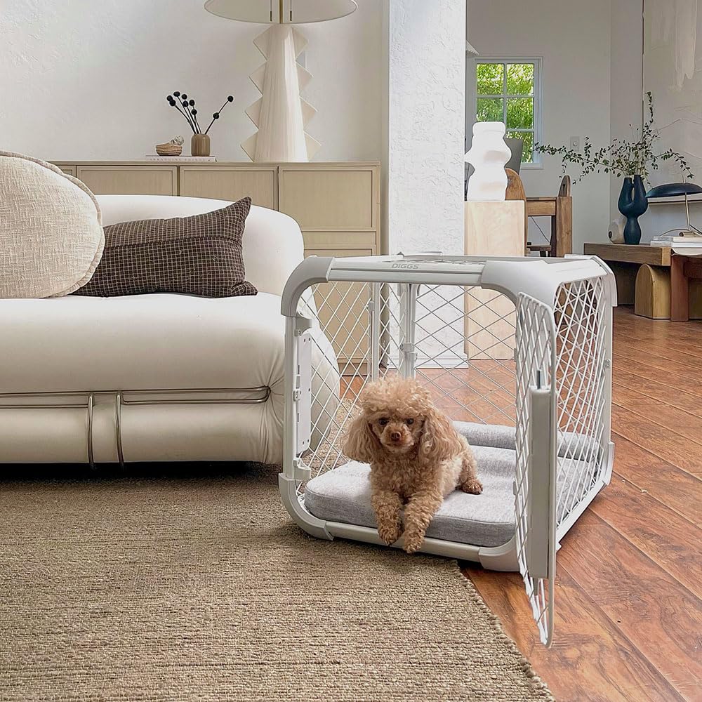 DIGGS Evolv Slim & Durable Dog Crate with Removable Ceiling Panel - Modular Design Pet Kennel for Small Dogs (Ash) - Perfect for Home, Travel & Vet Visits