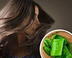 KHADI RISHIKESH Ayurvedic Aloe Vera Hair Growth Shampoo for Long Strong Hair | Controls Hair Fall | SLS & Paraben Free | 210ml | For Women & Men | Promotes Healthy Scalp & Thicker Hair | Perfect for Daily Hair Care Routine