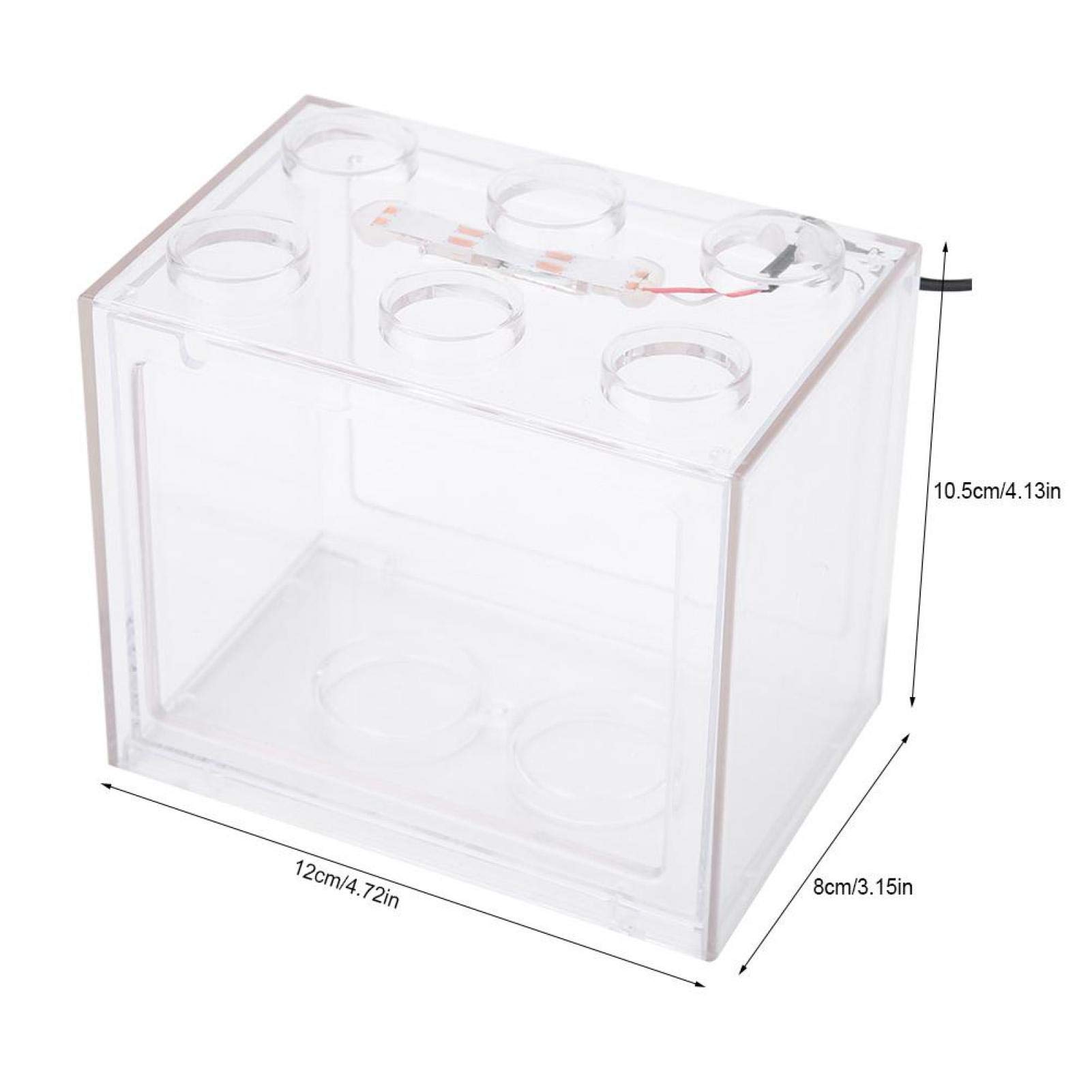 Decorative Mini Aquarium for Home & Office Desk | Small Fish Tank with LED Light | Perfect for Relaxation, Stress Relief & Desktop Decor