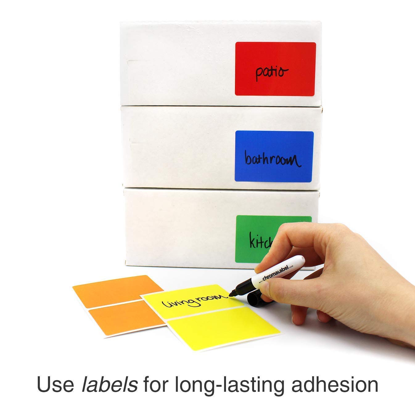 ChromaLabel 3/4 Inch Sheeted Standard Label Kit with Moving Buddy Bundle - Perfect for Home Organization, Office Supplies & Moving Box Labeling