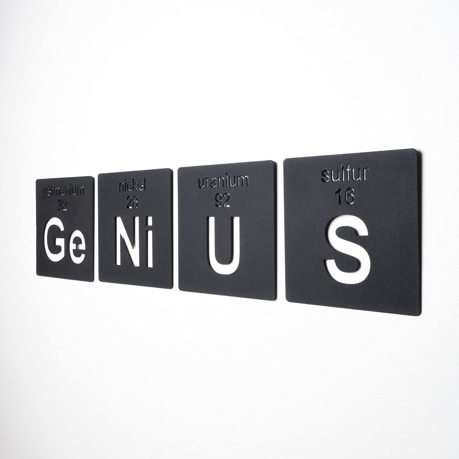 Genius Metal Wall Art Decor for Living Room & Bedroom