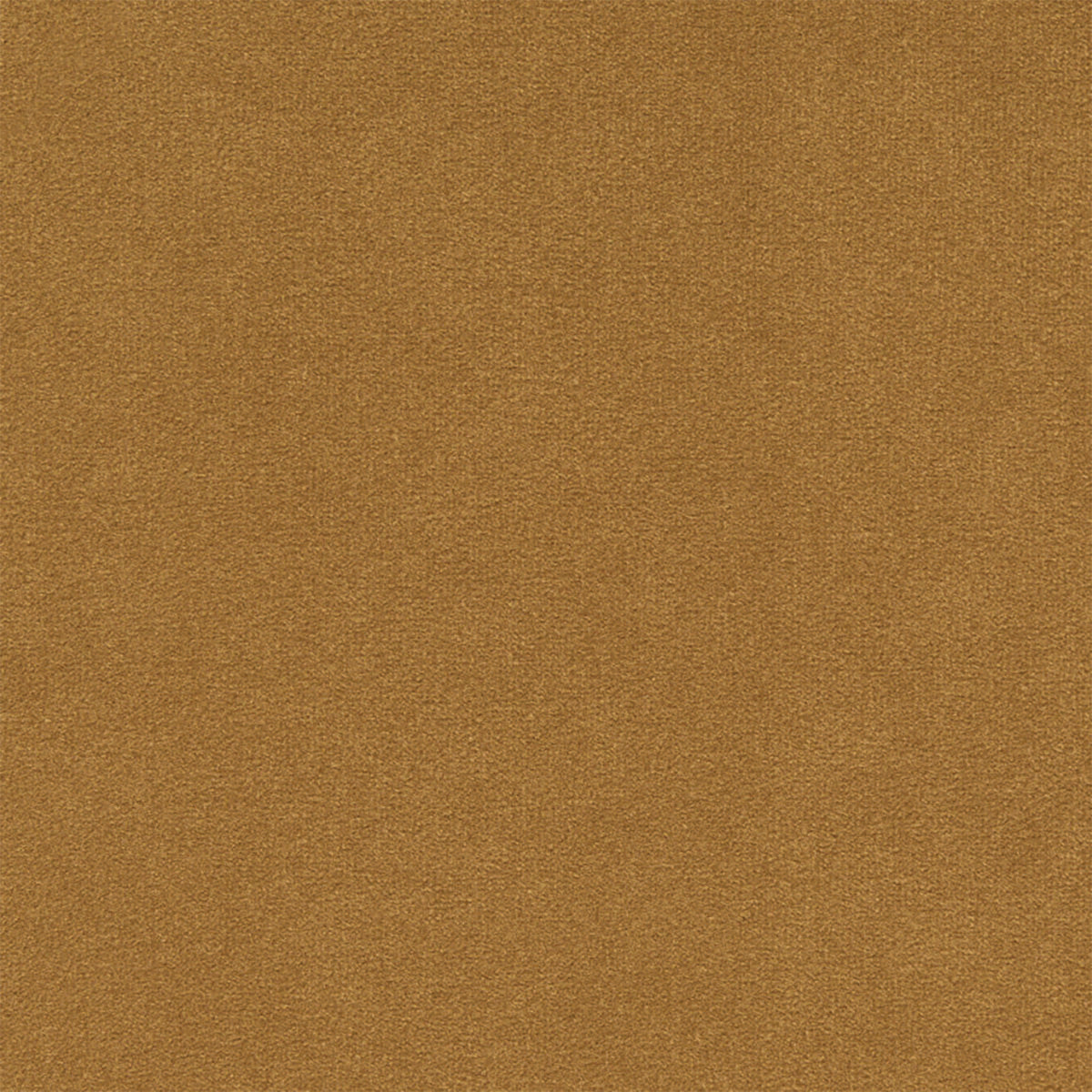 Ellison Studios Swatch Malibu Almond - Stylish and Comfortable Watch for Men & Women - Perfect for Beach, Casual Wear, and Everyday Use