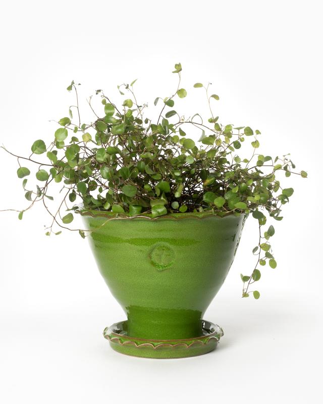 Kruka Sturehof Adelcrantz 17cm Green Ceramic Flower Pot - Perfect for Indoor Plants, Succulents, and Home Decor