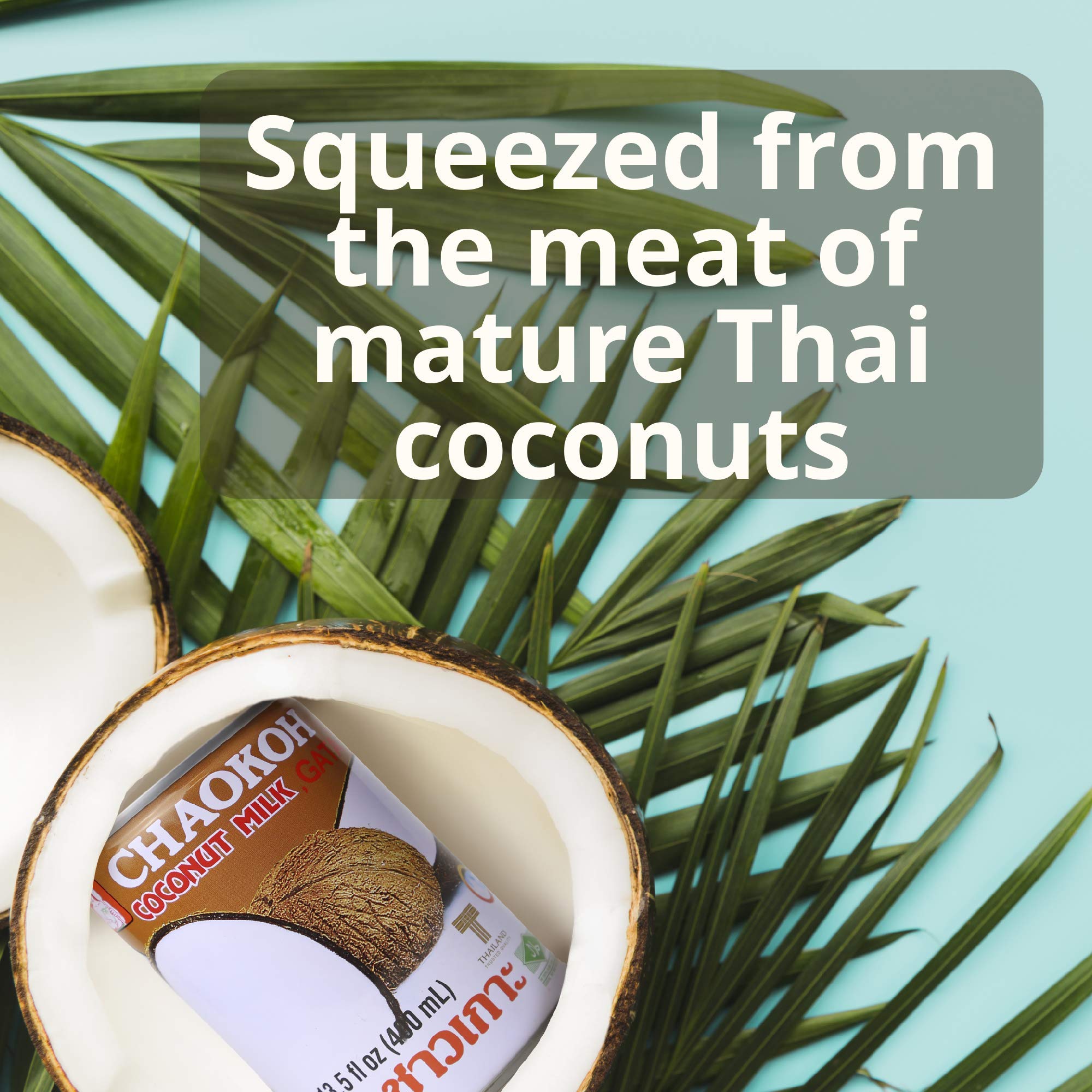 Chaokoh Coconut Milk 24 Pack (13.5 Oz per Can) - Creamy Non-Dairy Coconut Milk, No Preservatives or Artificial Flavors, Perfect for Smoothies, Curries, Baking & Vegan Recipes