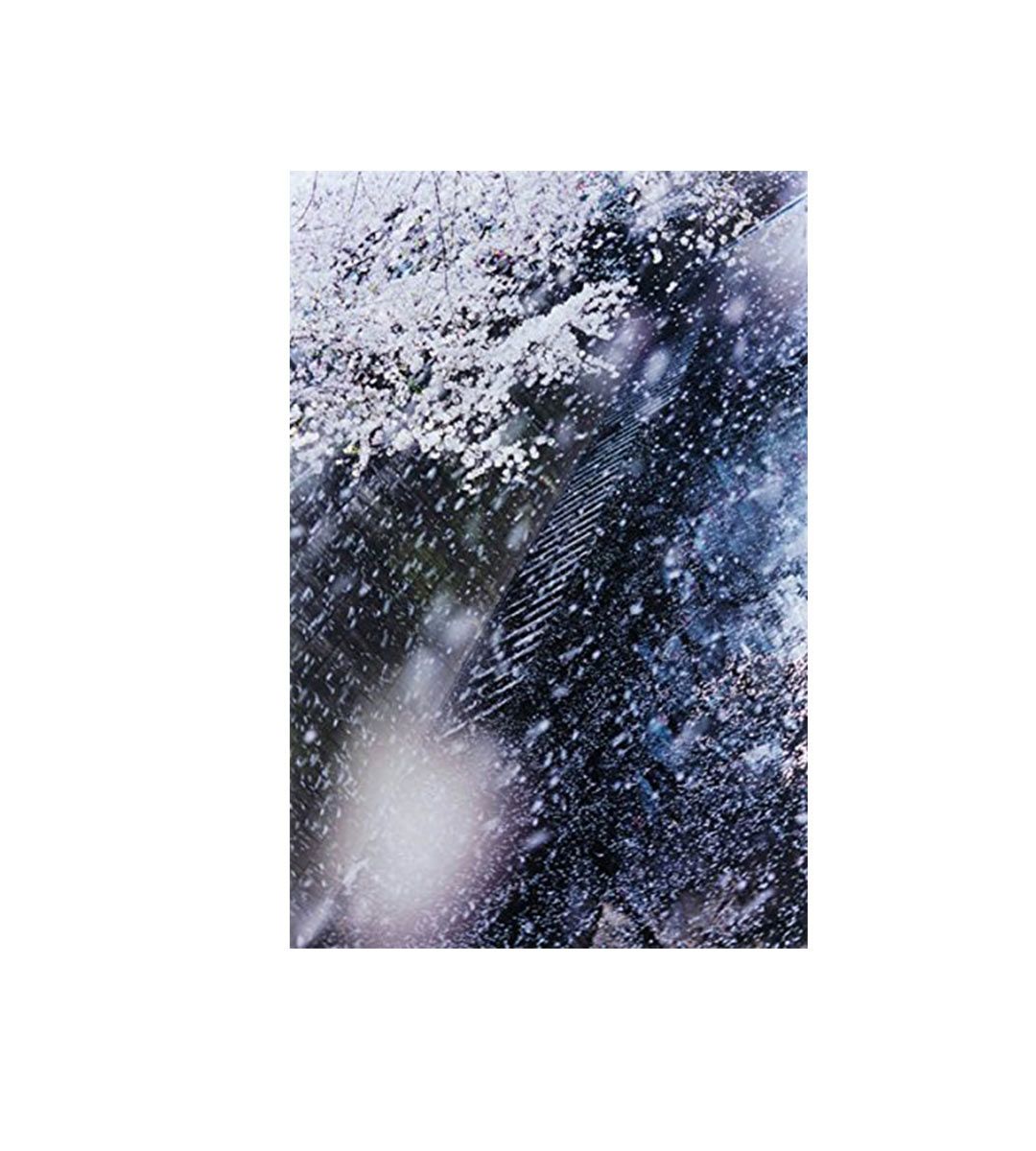 Mika Ninagawa Art Book: Into Fiction/Reality - Japanese Contemporary Photography Collection for Home Decor & Art Lovers