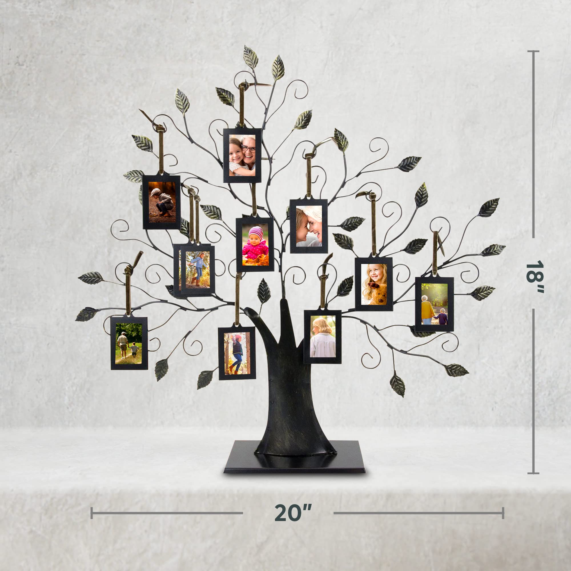 Family Tree Photo Frame - 10 Hanging Frames Wall Decor in Brushed Bronze for Home & Office