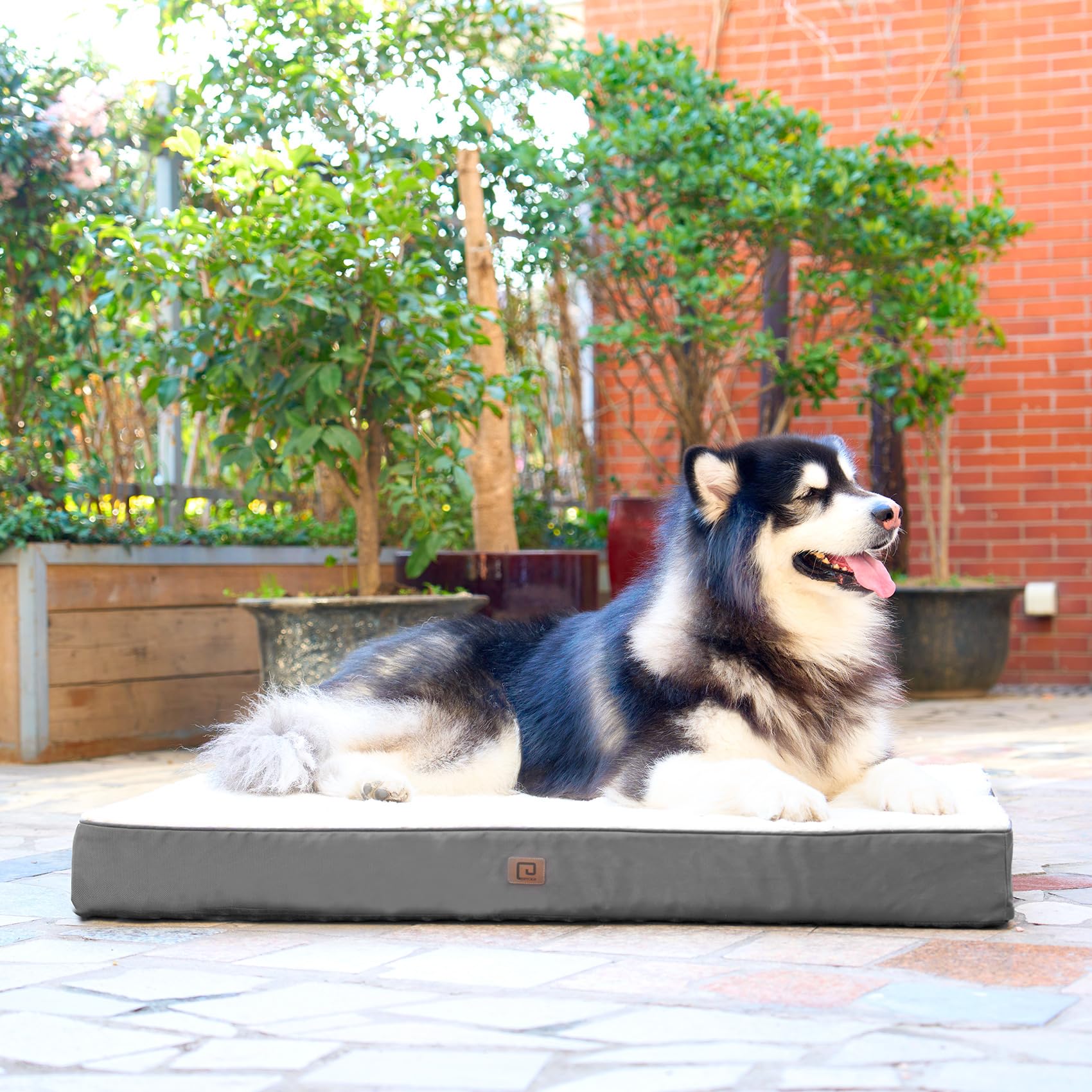 **Orthopedic XXL Dog Bed for Large Breeds - Extra Large 47x29 Inch Washable Pet Bed with Removable Cover - Comfortable Crate Mat for Giant Dogs (Beige) - Perfect for Home, Kennel & Travel Use**