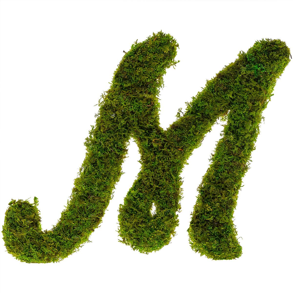 Custom Preserved Moss Monogram Initial Wall Art - Personalized Home Decor for Living Room, Bedroom & Office | Eco-Friendly Greenery Letter Design