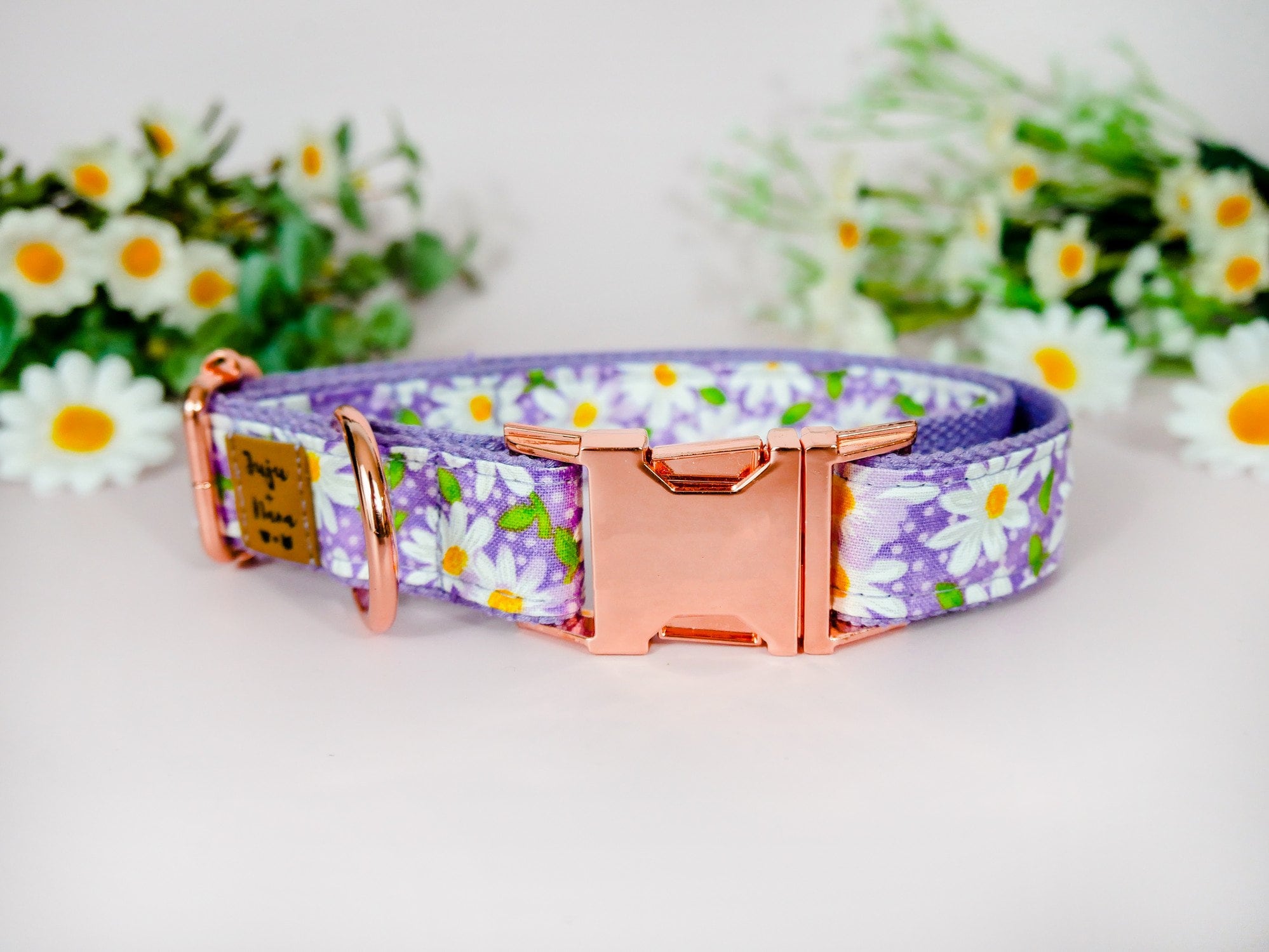 Purple Daisy Dog Collar - Adjustable & Durable Pet Collar for Small & Medium Dogs - Perfect for Walks, Training & Outdoor Adventures