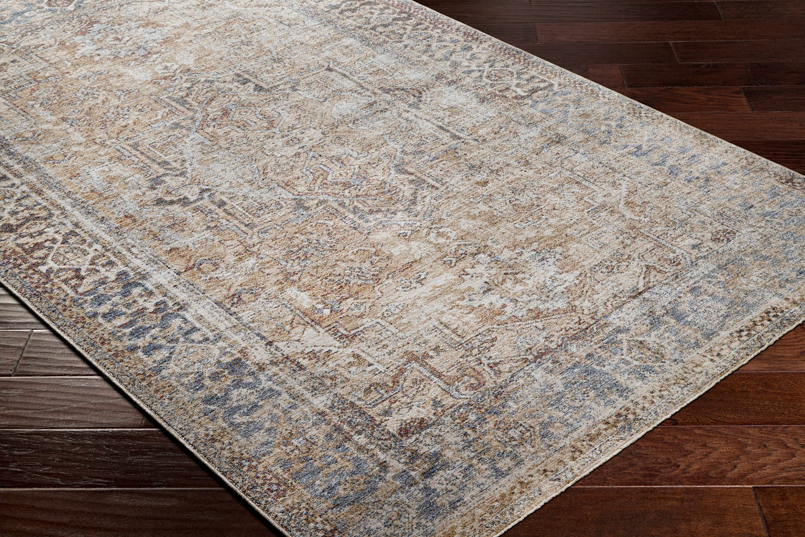 Hauteloom Onley Traditional Area Rug 2' x 3'3