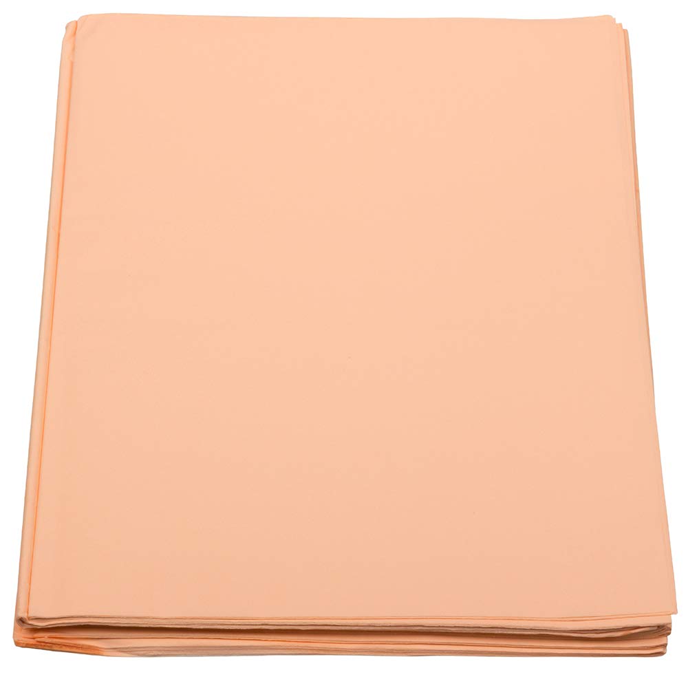 JAM PAPER Peach Tissue Paper - 480 Sheets per Ream - Perfect for Gift Wrapping, Party Decorations & Craft Projects