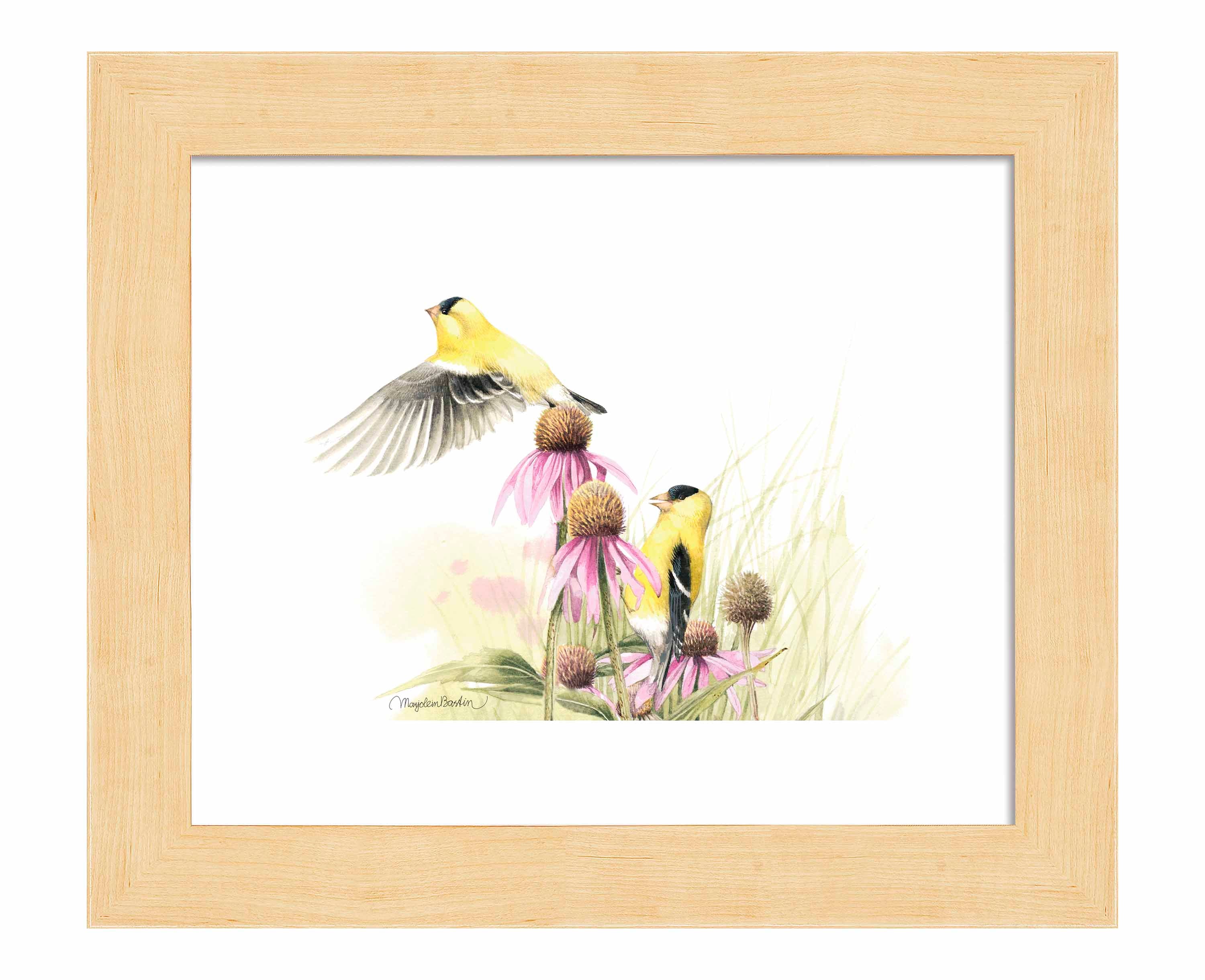 Vibrant Coneflower Feast Art Prints - Botanical Wall Decor for Home, Office & Gifts | Nature-Inspired Floral Artwork