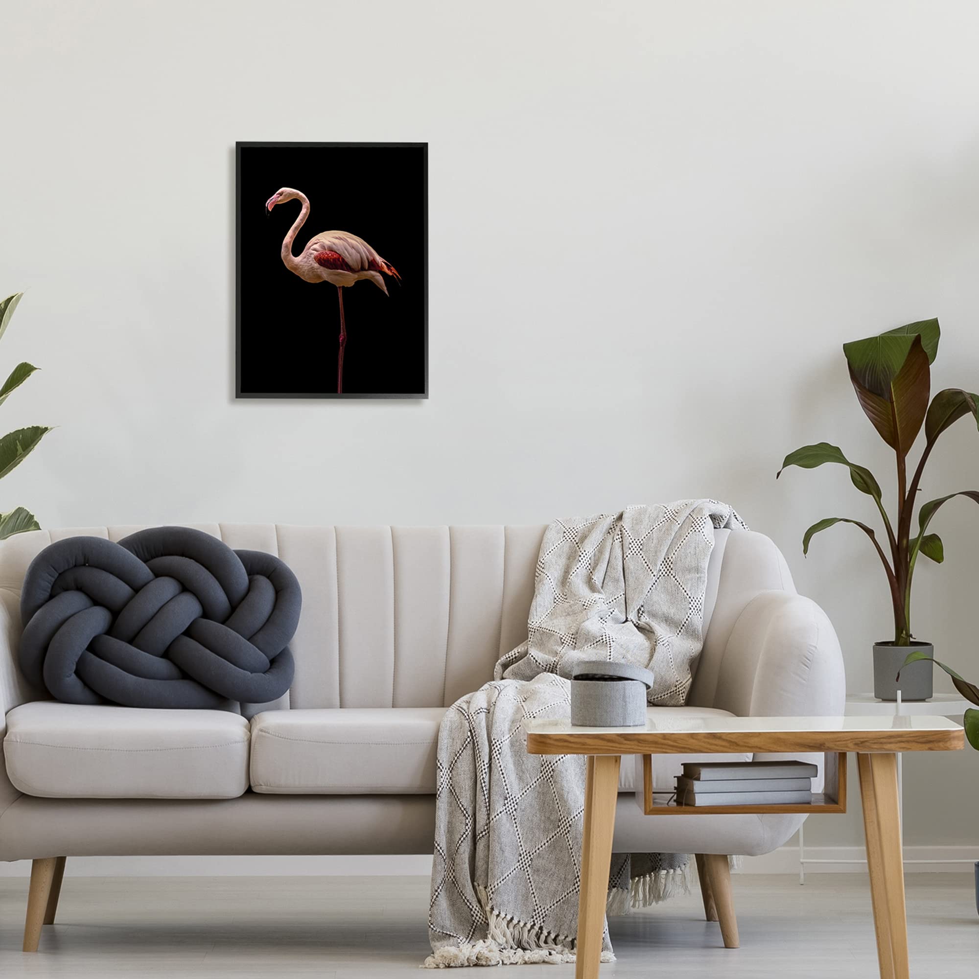 Stupell Industries Striking Pink Flamingo Portrait - Detailed Wildlife Photography Wall Art by Incado | Tropical Home Decor for Living Room, Bedroom & Office