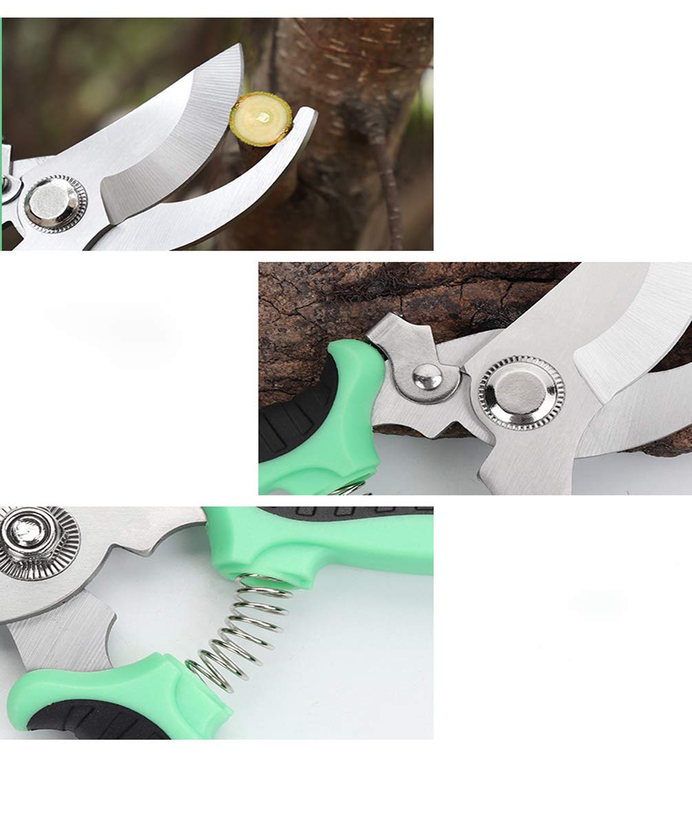 Professional Stainless Steel Gardening Pruning Shears - Lightweight Hand Pruner for Smooth Clean Cuts on Flowers, Plants & Light Branches | Perfect for Home Gardeners, Florists & Landscaping Enthusiasts | Ideal for Trimming, Pruning & Shaping Plants in Your Backyard or Greenhouse