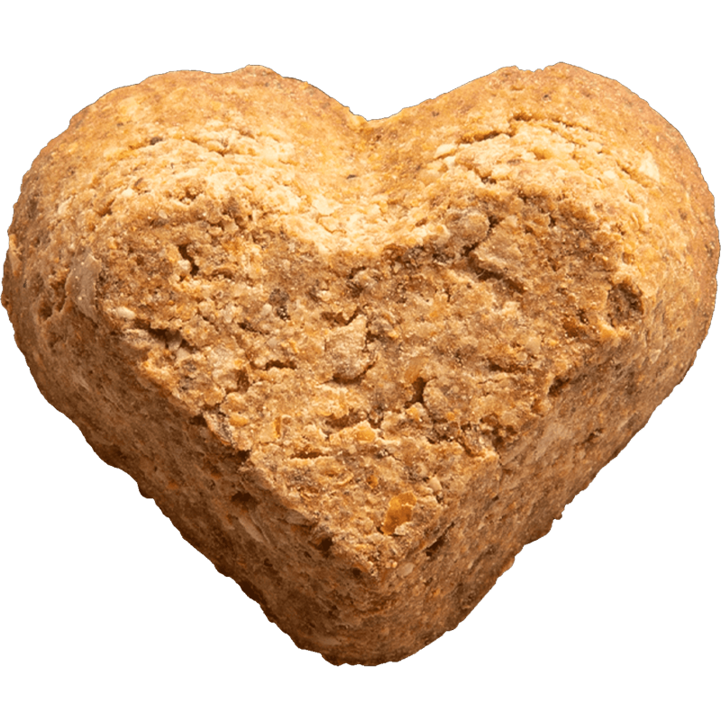 Healthy Campfire Feast Baked Dog Treats - Grain Free, All Natural Dog Biscuits for Training & Rewards - Perfect for Outdoor Adventures & Camping with Your Pet