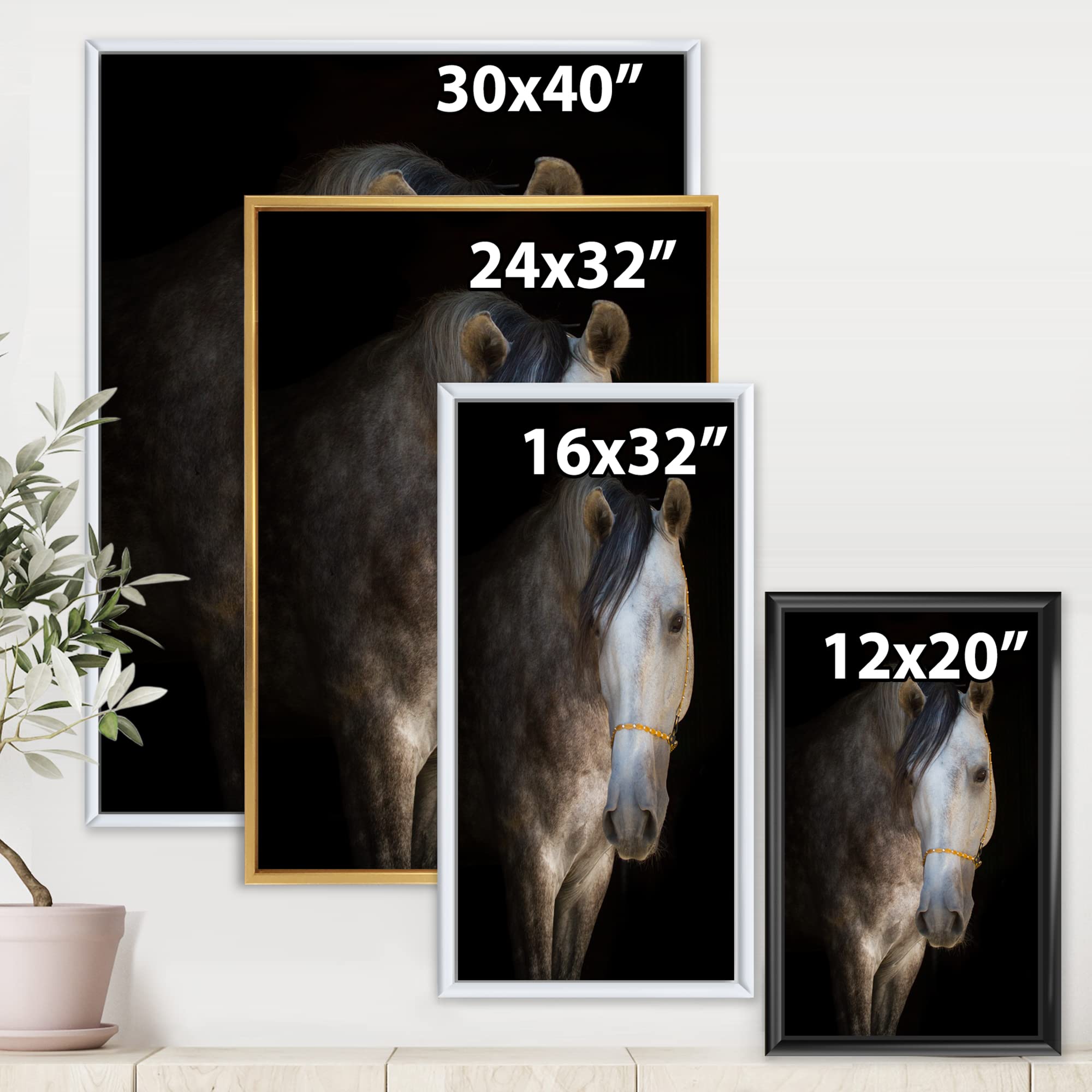 White Horse Portrait - Farmhouse Framed Canvas Wall Art Print for Living Room, Bedroom & Office Decor