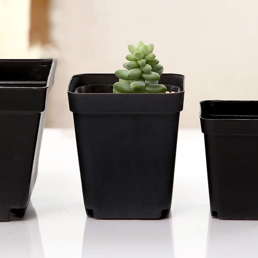 Hemoton 50 Pack Nursery Plant Pots - Small Plastic Flower Pots for Seedlings, Herbs & Succulents - Perfect for Indoor Gardening, Home Decor & DIY Planting Projects