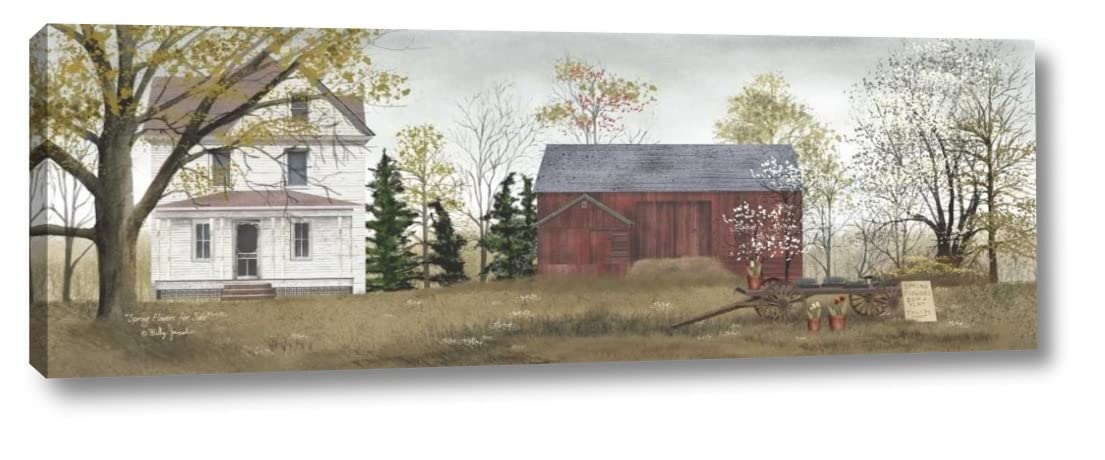 Billy Jacobs Spring Flowers 12x36 Gallery Wrapped Canvas Wall Art Print - Ready to Hang Home Decor for Living Room, Bedroom & Office
