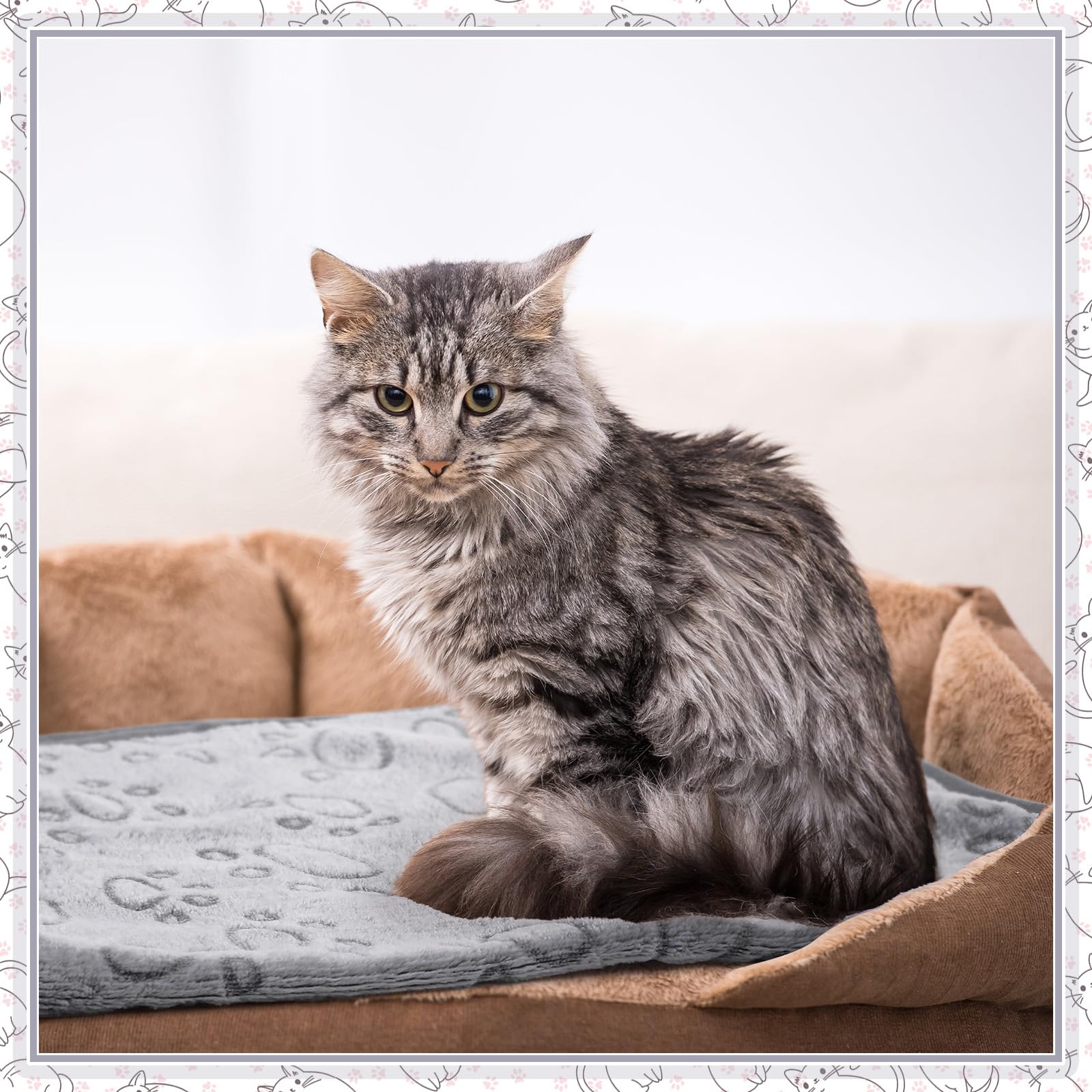 Soft Fleece Pet Blanket for Dogs & Cats - Warm Fluffy Throw for Sleeping - Paw Print Design (23x16 Inch, Gray)