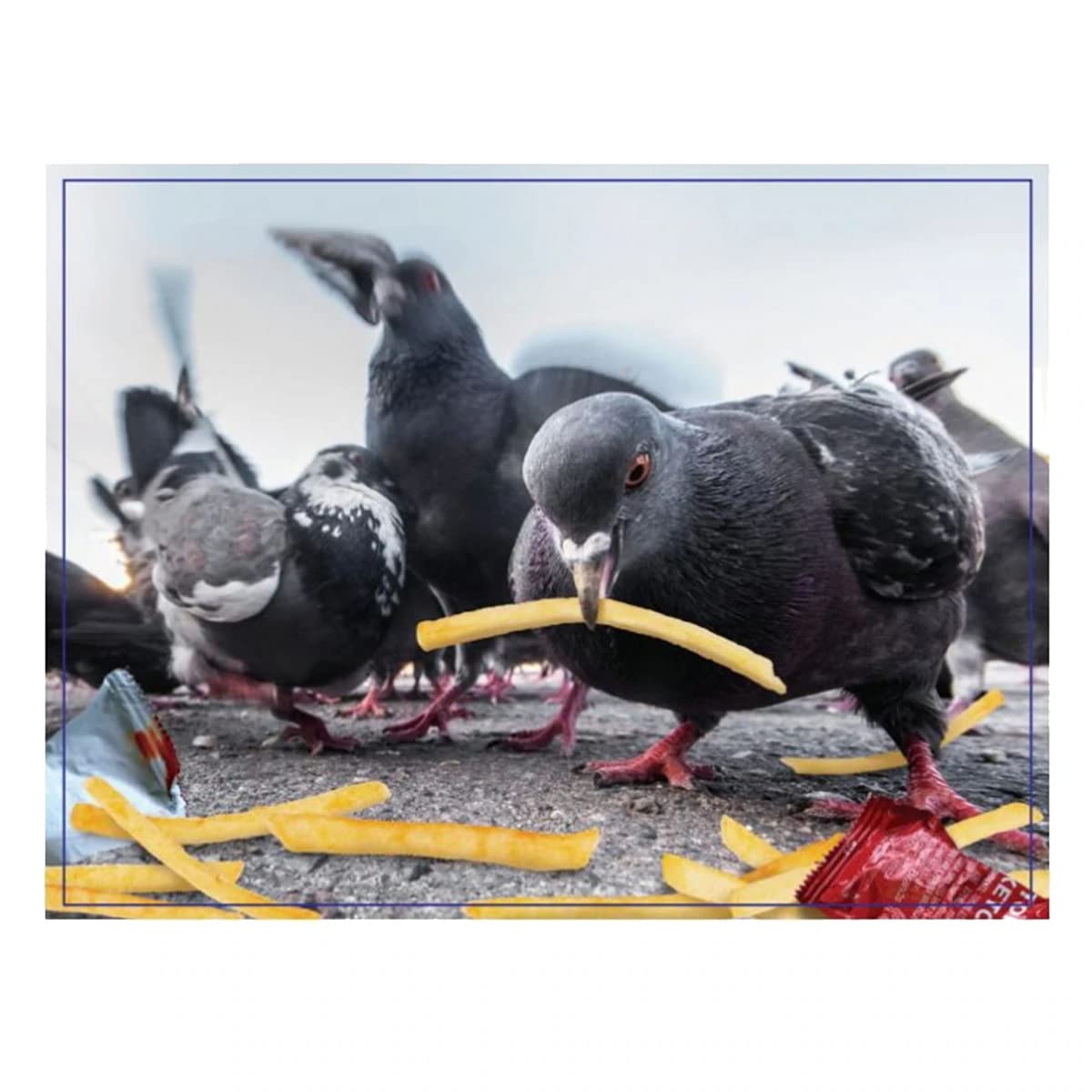 Wilder Games Lovely Birds Prank Puzzle - 300 Piece Jigsaw Puzzle for Adults & Teens | Fun Family Game Night Activity | Stress Relief & Brain Teaser Challenge