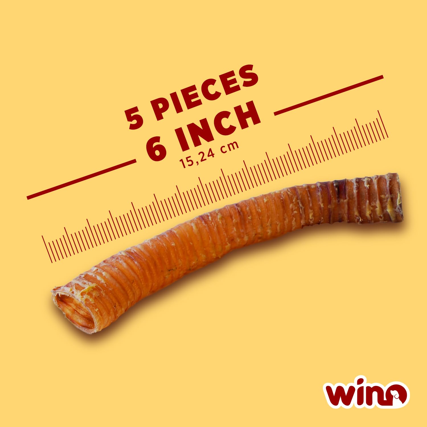 Premium Bully Sticks for Dogs - 5 Pack of 4 Inch All-Natural Beef Chews | 100% Digestible, Odor-Free, High Protein Dog Treats | Supports Dental Health & Reduces Destructive Chewing | Perfect for Training Rewards, Teething Puppies & Anxious Dogs
