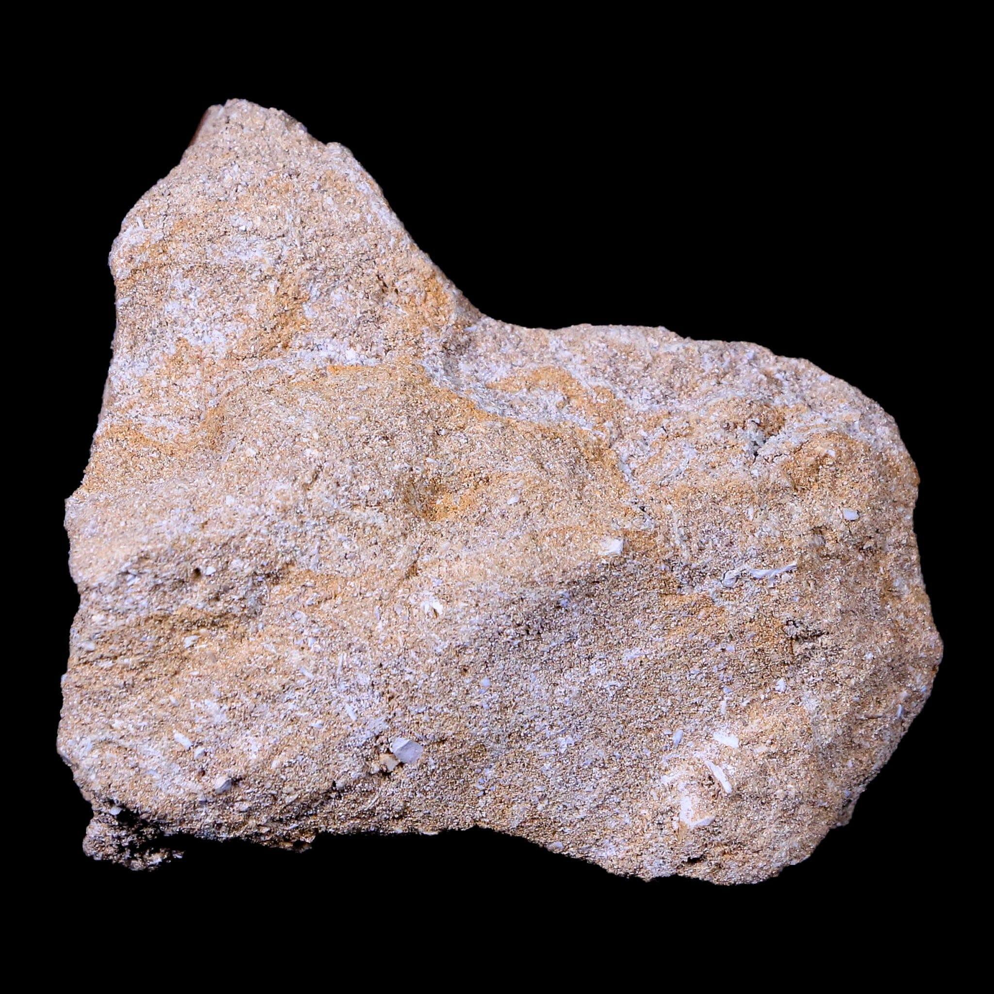 1.3